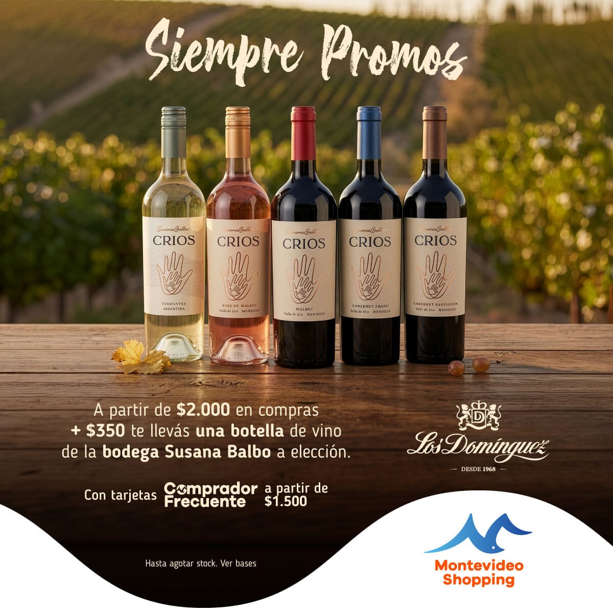 PROMO VINOS BODEGA SUSANA BALBO