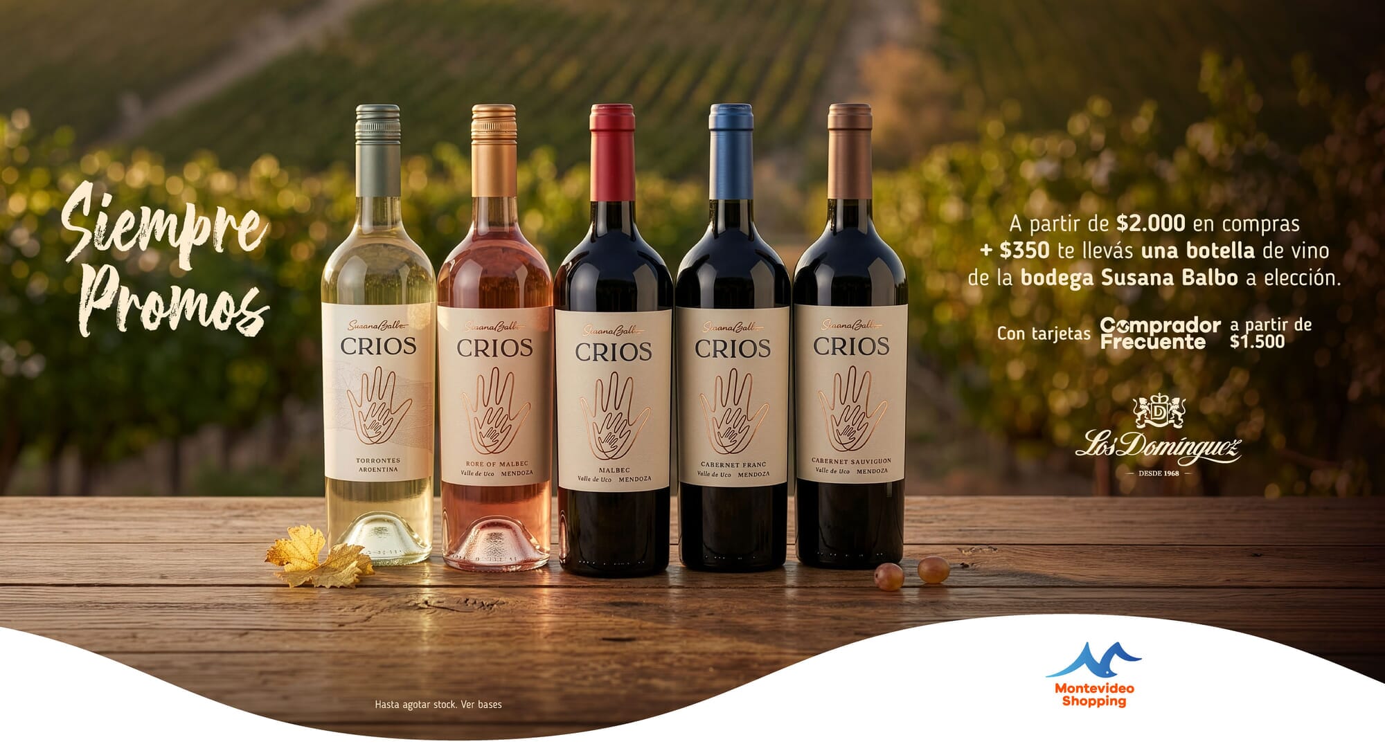 PROMO VINOS BODEGA SUSANA BALBO